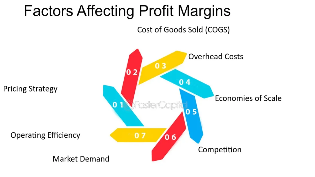 Factors Impacting WNBA Profit Margins and Revenue